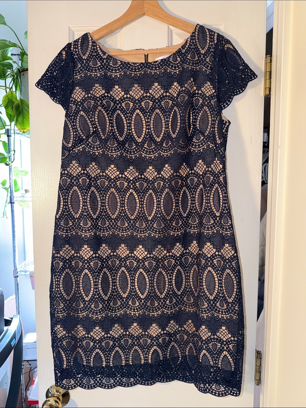 Eliza J Navy Lace Overlay Sheath Dress with Nude Lining 14P